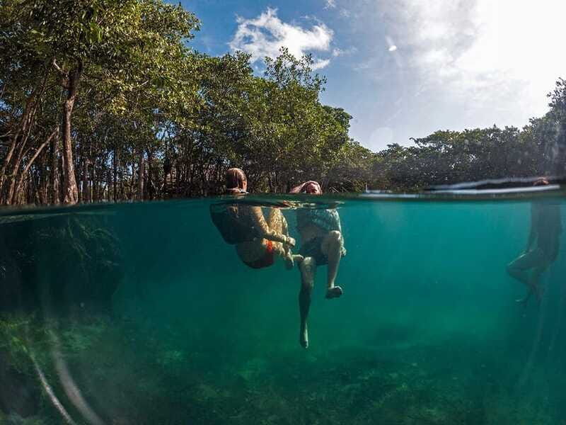 Holbox: Yum Balam Reserve Classic Boat Tour - How much value do you get for $36?