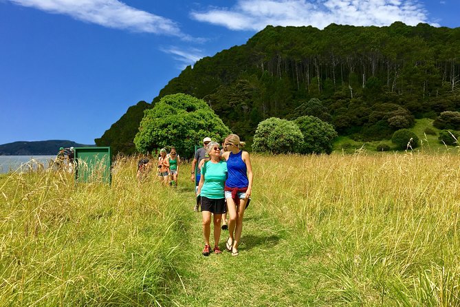 Hole in the Rock Cruise & Island Tour - with two island stopovers - Roberton Island and its uphill view