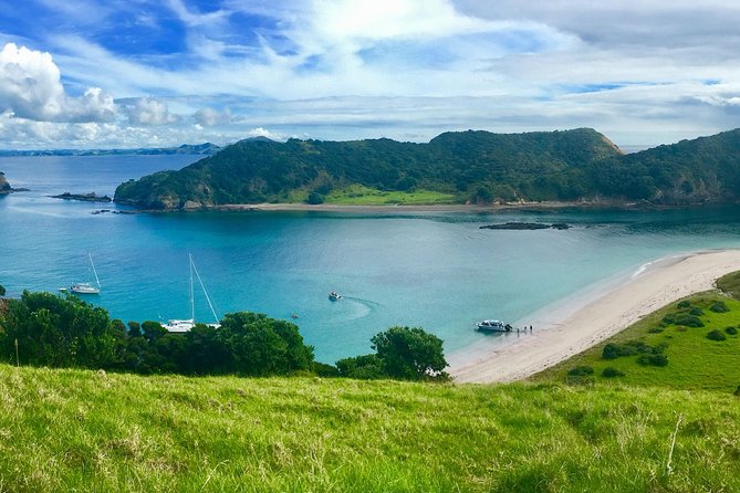 Hole in the Rock Cruise & Island Tour - with two island stopovers - Motukokako Island and the Hole in the Rock