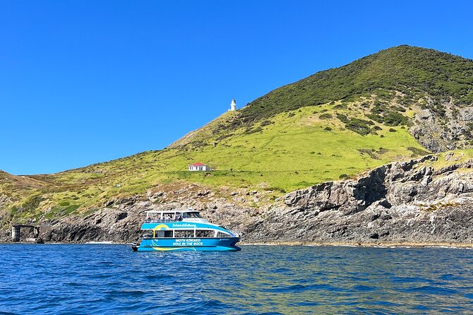 Hole in the Rock Cruise & Island Tour - with two island stopovers - Starting at Paihia Wharf