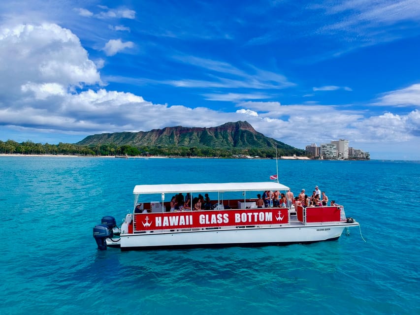 Honolulu: Glass Bottom Boat Tour along Oahu's South Shore - What the glass bottom really looks like