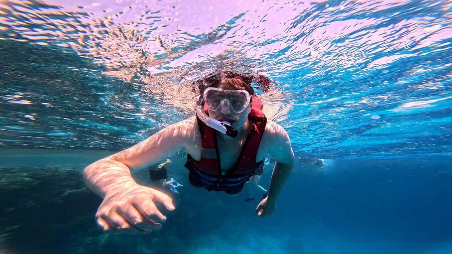 Hurghada: Dolphin Watching Boat Tour with Snorkeling & Lunch - Why the dolphins are the real prize