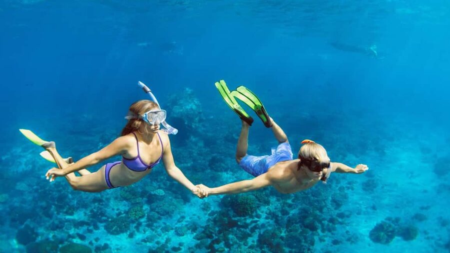 Hurghada: Dolphin Watching Boat Tour with Snorkeling & Lunch - Lunch, drinks, and the pace of the day
