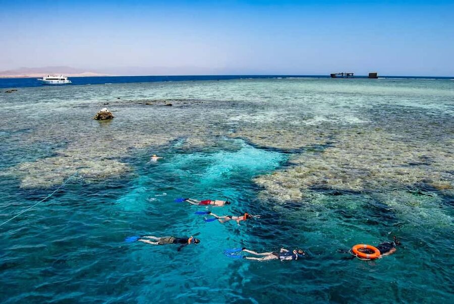 Hurghada: Dolphin Watching Boat Tour with Snorkeling & Lunch - Safety, support, and the family question