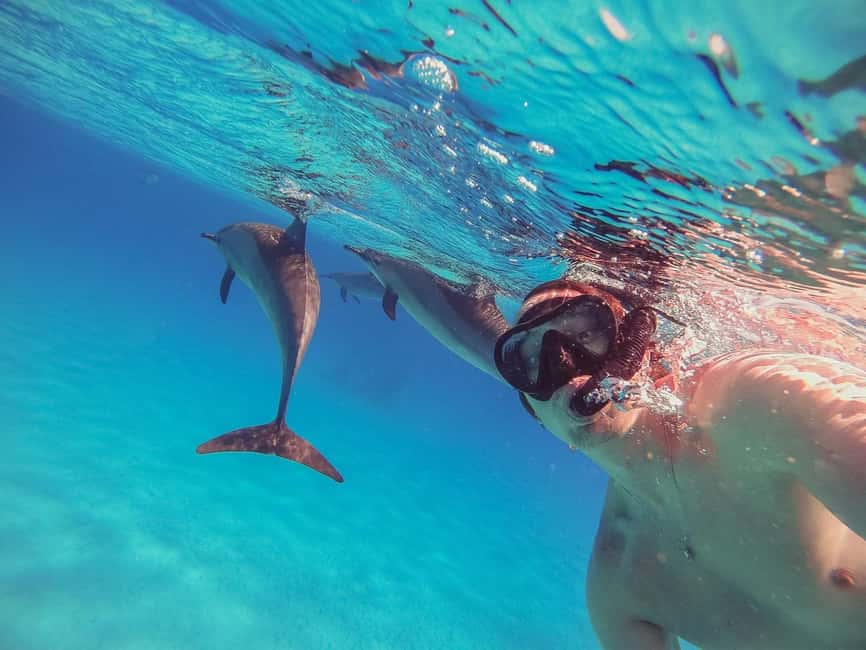 Hurghada: Dolphin Watching Boat Tour with Snorkeling & Lunch - Leaving Hurghada from Public Beach Number 9