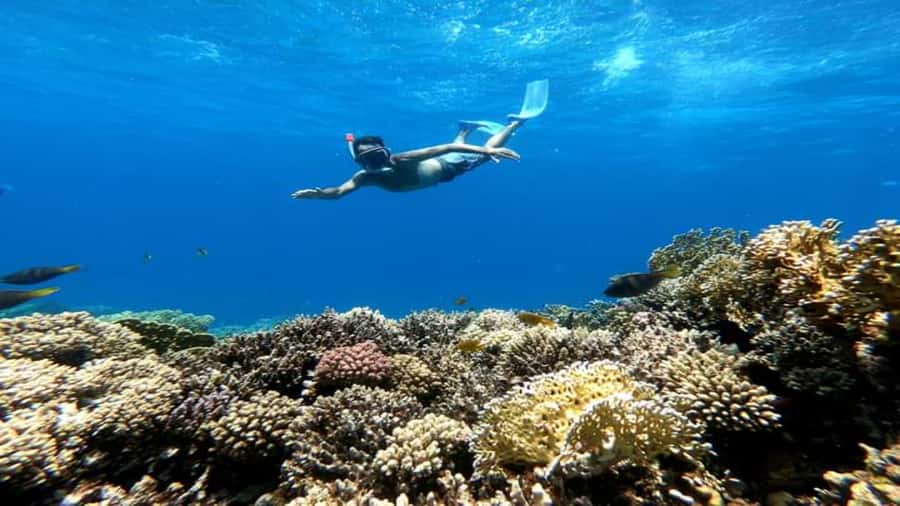 Hurghada: Luxury Cruise Trip to Orange Bay with Lunch - What the luxury boat adds