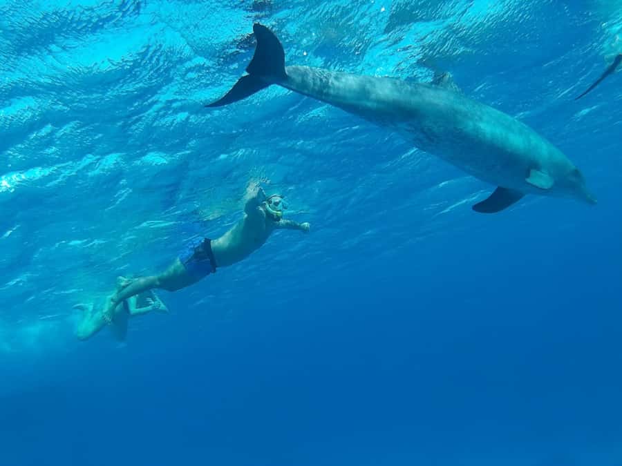 Hurghada: Luxury Cruise Trip to Orange Bay with Lunch - Is $53 a fair price?