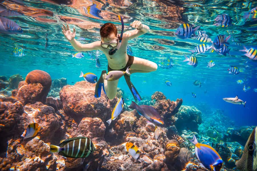 Hurghada: Orange Bay Island Boat Trip w/ Breakfast and Lunch - What to Pack for the Day