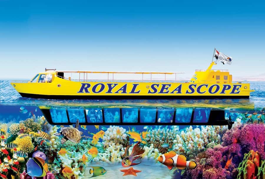 Hurghada: Royal Seascope Submarine Cruise with Snorkel Stop - What the Royal Seascope experience really is