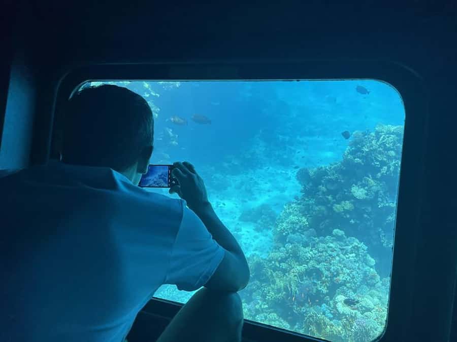 Hurghada: Royal Seascope Submarine Cruise with Snorkel Stop - Dolphins, fish, and what you may see