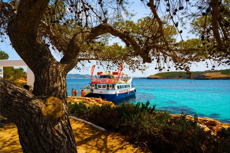 Ibiza: Beach Hopping Cruise w/ Paddleboard, Food, & Drinks - Cala Tarida, Cala Comte, and the route details