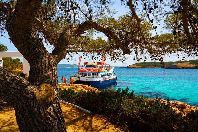 Ibiza Beach Hopping Cruise with Paddleboards, Drinks and Food 6h - The open-water swim stop is the main event