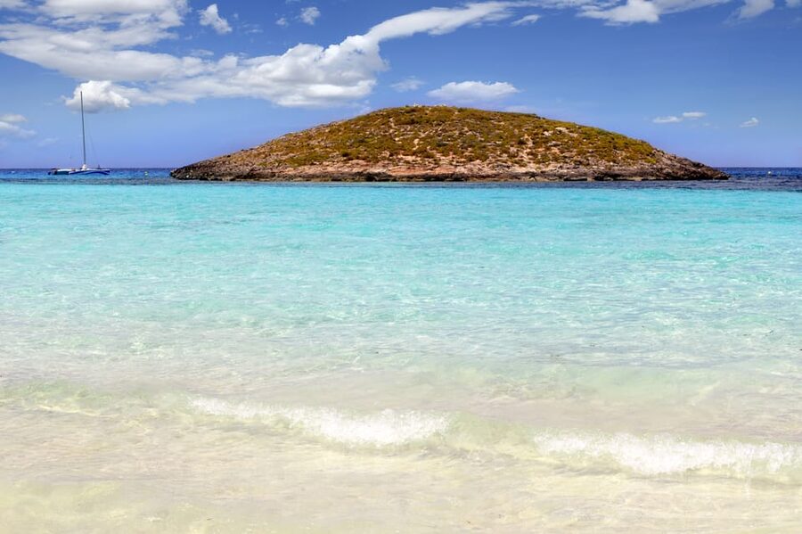 Ibiza: Catamaran Cruise to Formentera with Meal and Drinks - Who will enjoy this cruise most