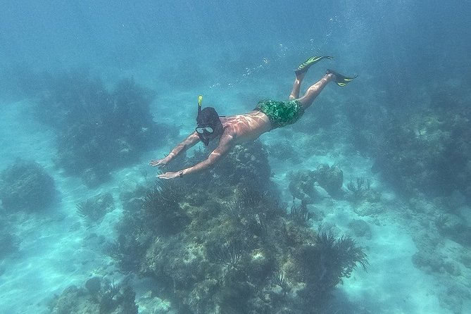 Icacos Deserted Island Catamaran, Snorkel, and Picnic Cruise - Lunch is casual, filling, and included in the fare