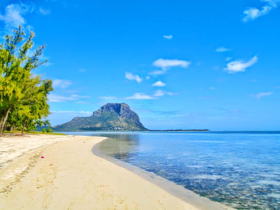 Île aux Bénitiers: Snorkeling w/Dolphins Boat Tour & Lunch - What $115 includes and what it is really worth