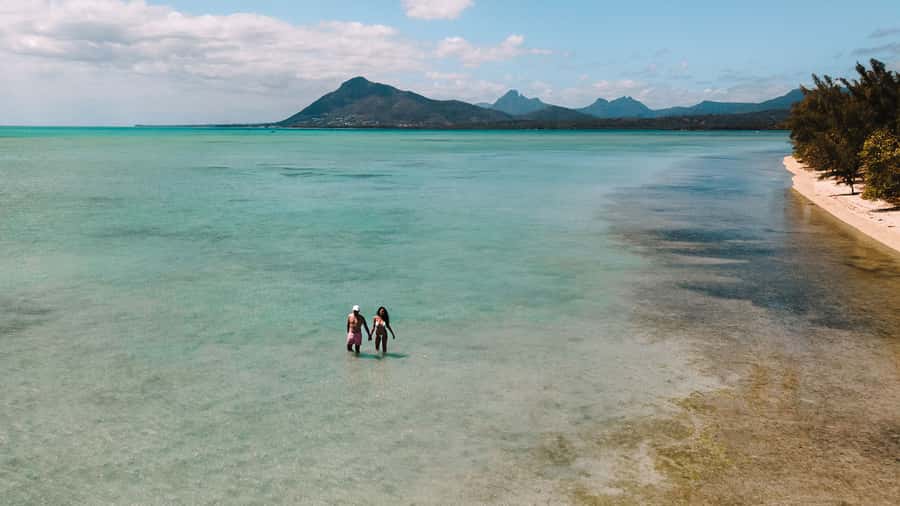 Île aux Bénitiers: Snorkeling w/Dolphins Boat Tour & Lunch - Who will enjoy this tour most
