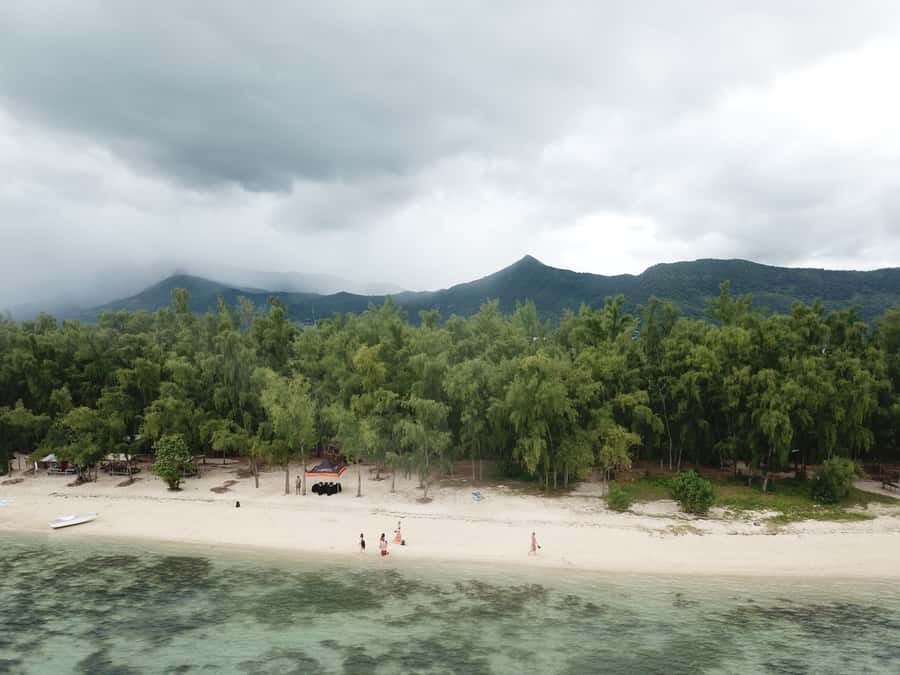 Île aux Bénitiers: Snorkeling w/Dolphins Boat Tour & Lunch - Simple ways to make the day better