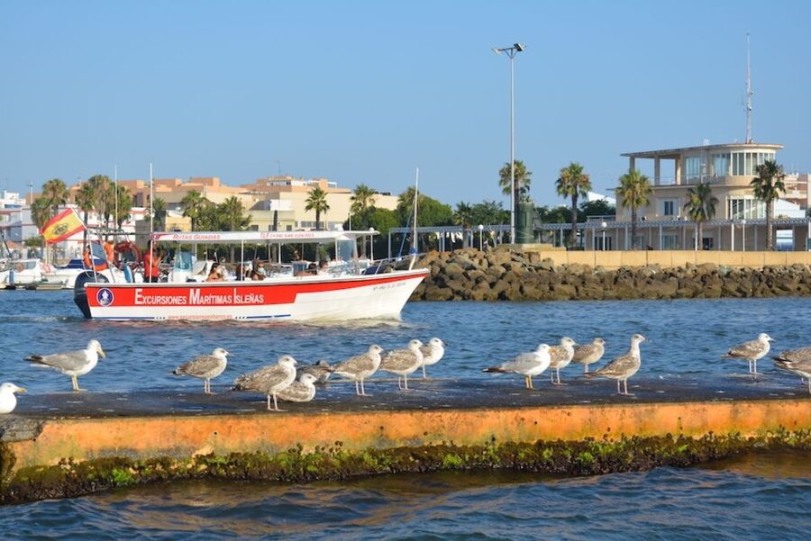 Isla Cristina/Isla Canela: Boat Trip Through the Marshes - Should you book the Isla Cristina marsh boat trip?