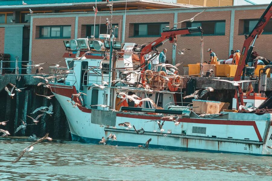 Isla Cristina/Isla Canela: Boat Trip Through the Marshes - The mussel rafts and the Huelva tasting