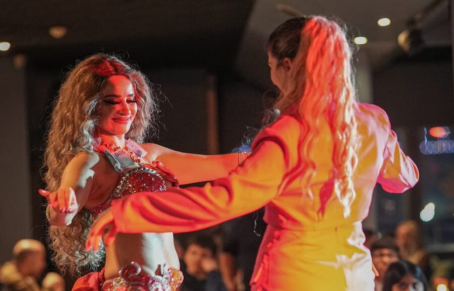Istanbul: Bosphorus Cruise with Dinner Show - Who should book this cruise?