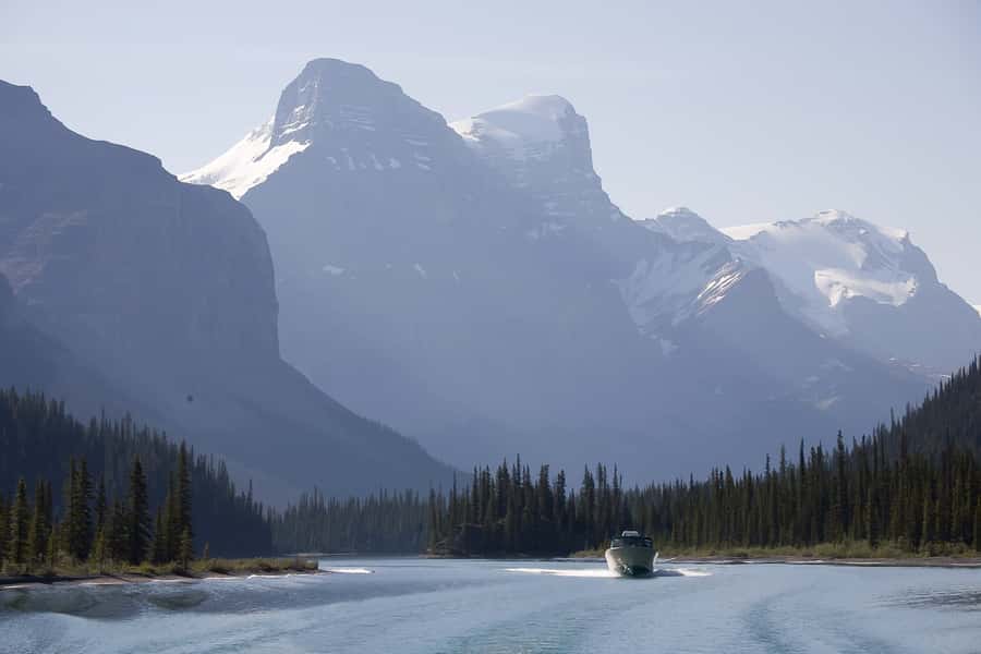 Jasper: Wildlife and Waterfalls Tour with Maligne Cruise - Should you book it?