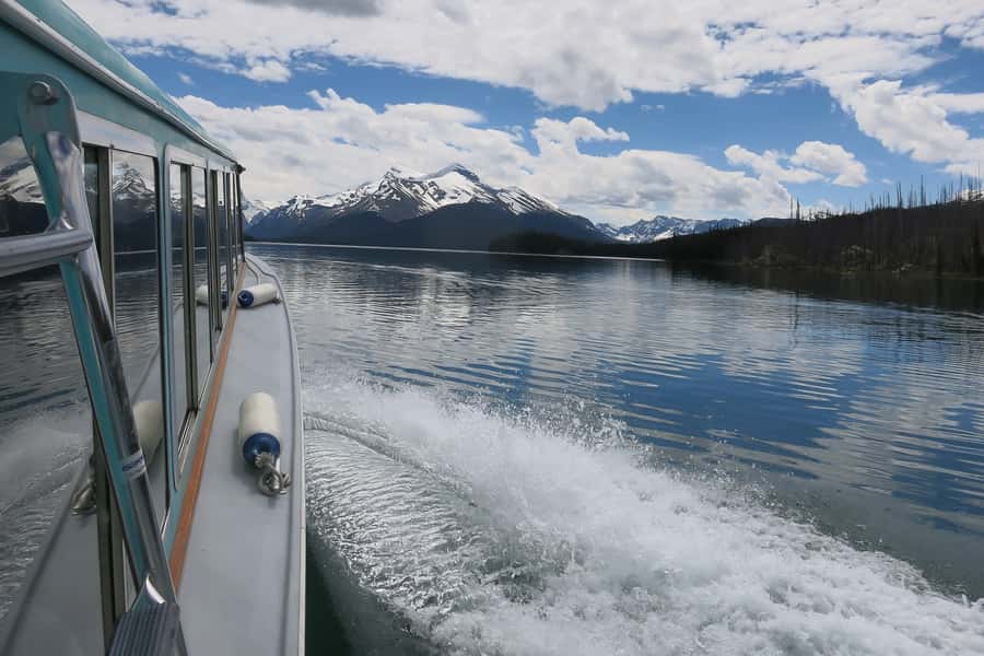 Jasper: Wildlife and Waterfalls Tour with Maligne Cruise - Is $155 a fair price?