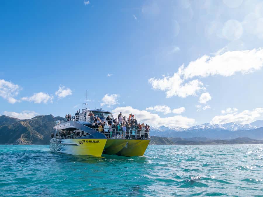 Kaikoura: Whale Watching Cruise - Why Kaikoura is such a good place to look for whales