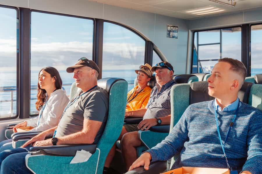 Kaikoura: Whale Watching Cruise - What the catamaran feels like at sea