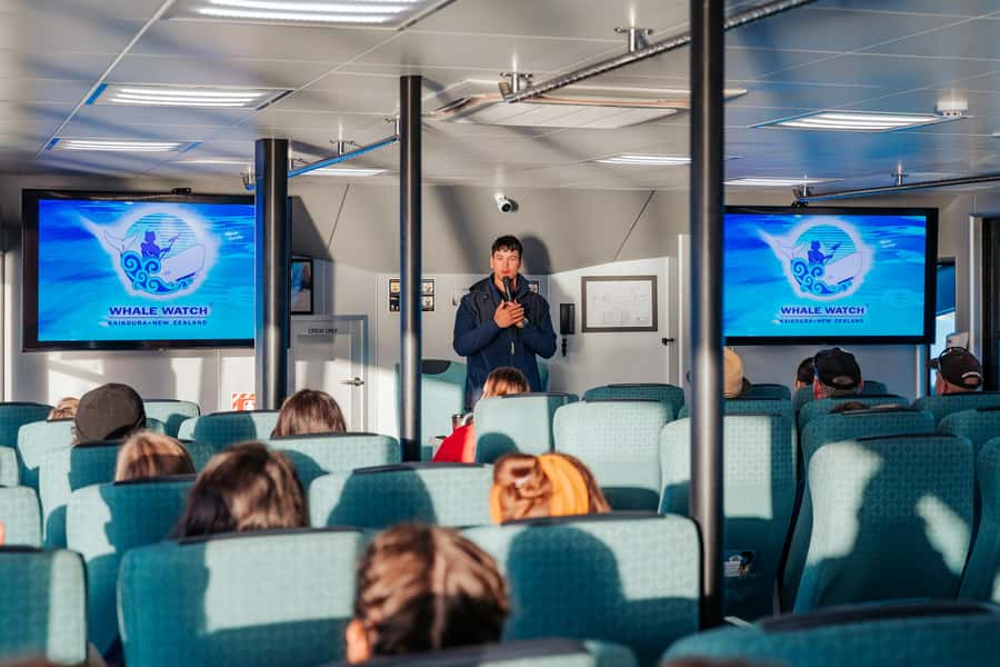 Kaikoura: Whale Watching Cruise - Check-in, transfer, and the first look at the coast