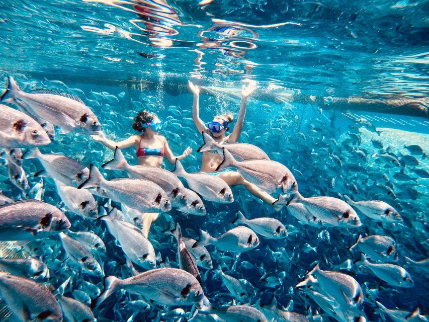 Kamiros Skala: Marine Life Experience by Boat - Key points to know before booking