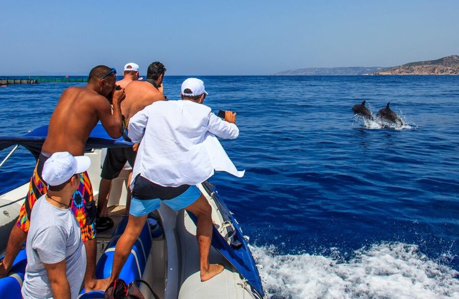 Kamiros Skala: Marine Life Experience by Boat - Booking details worth knowing