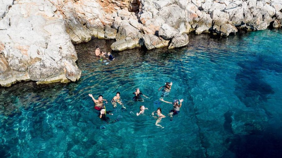 Kamiros Skala: Marine Life Experience by Boat - Why the dolphin watching feels different