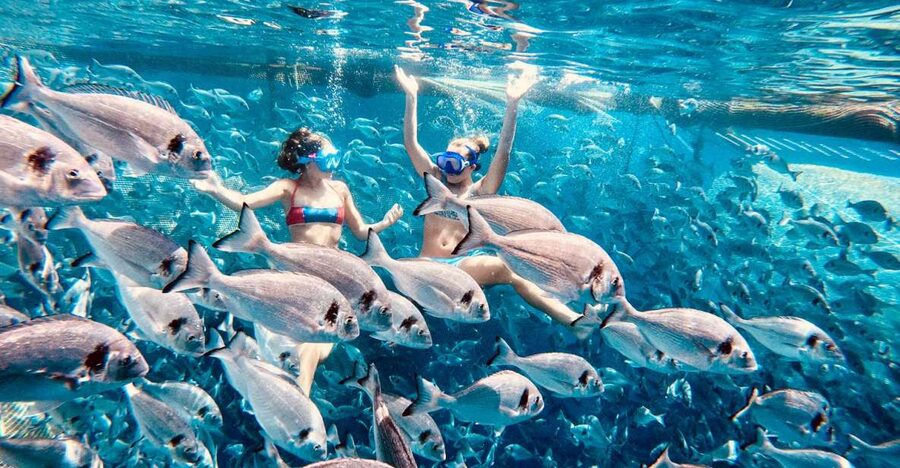 Kamiros Skala: Marine Life Experience by Boat - The return route and second dolphin chance