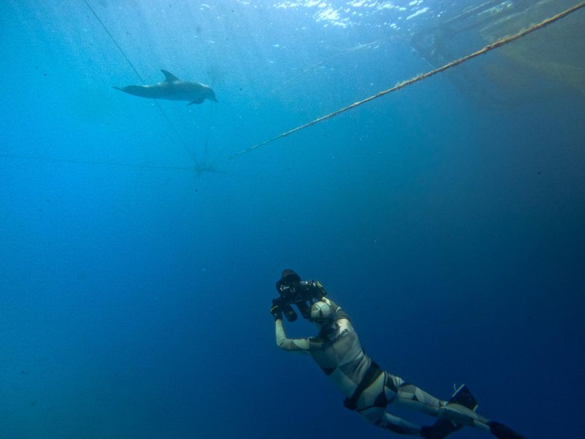 Kamiros Skala: Marine Life Experience by Boat - The aquaculture lesson adds real substance