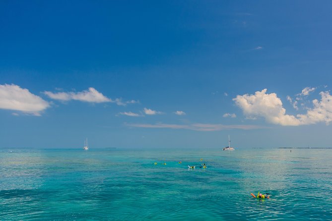 Key West Afternoon Snorkel Sail with Unlimited Cocktails! - Snorkeling gear, instruction, and crew conduct