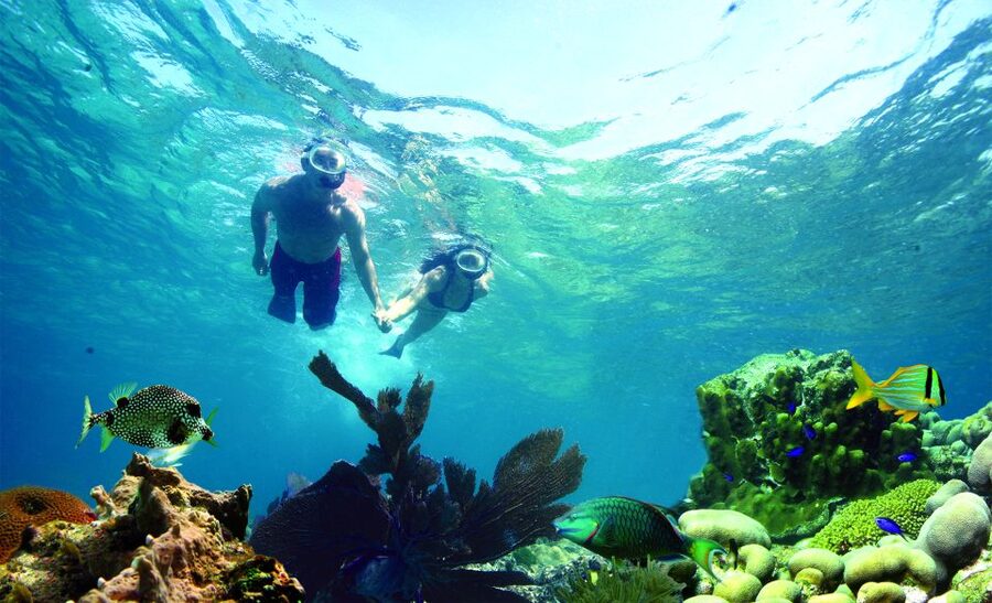 Key West: Dolphin Watching and Snorkeling Eco Cruise Tour - Key Things to Know Before Booking