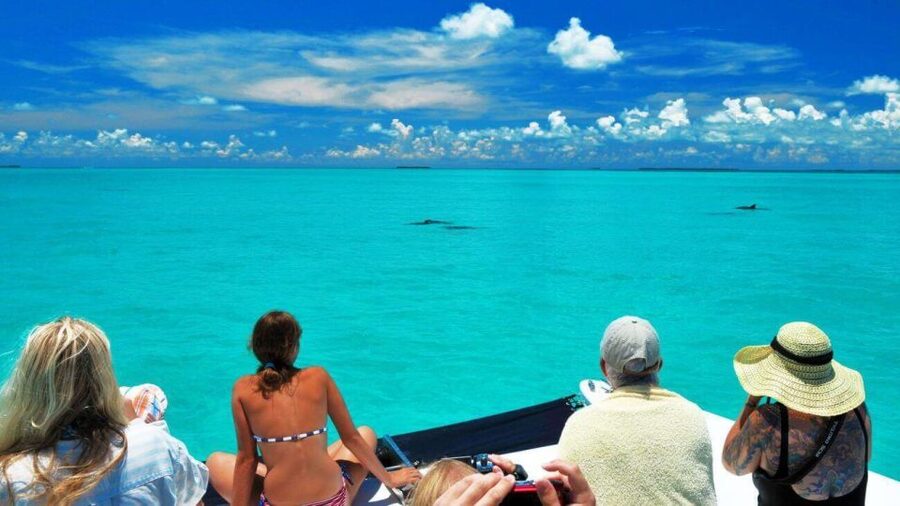 Key West: Dolphin Watching and Snorkeling Eco Cruise Tour - From Captain’s Corner to the Gulf of Mexico