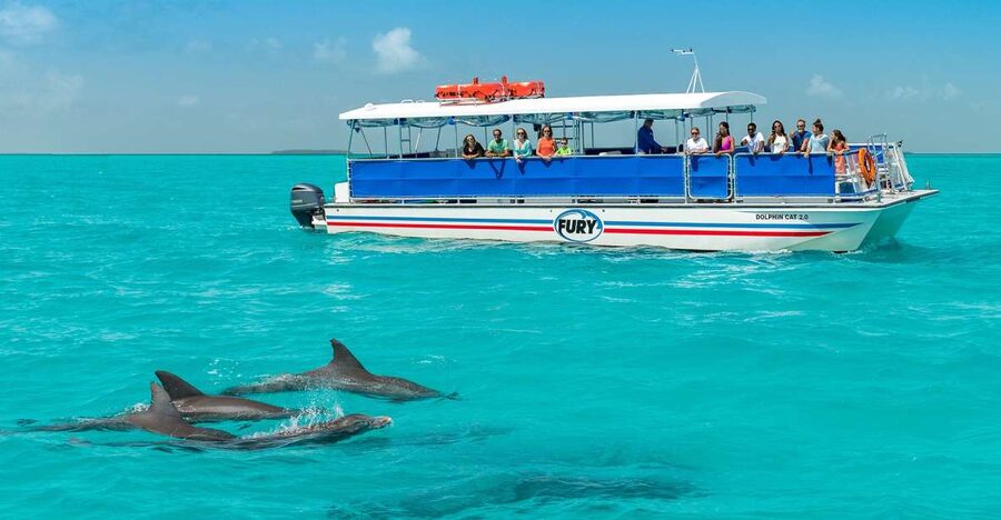 Key West: Dolphin Watching and Snorkeling Eco Cruise Tour - The Ride Back, Drinks, and Sunset Timing