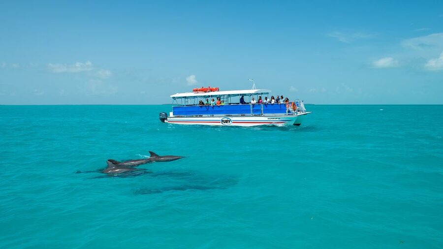 Key West: Dolphin Watching and Snorkeling Eco Cruise Tour - What the $79 Price Really Buys You