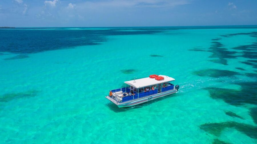 Key West: Dolphin Watching and Snorkeling Eco Cruise Tour - Who Will Enjoy This Trip Most