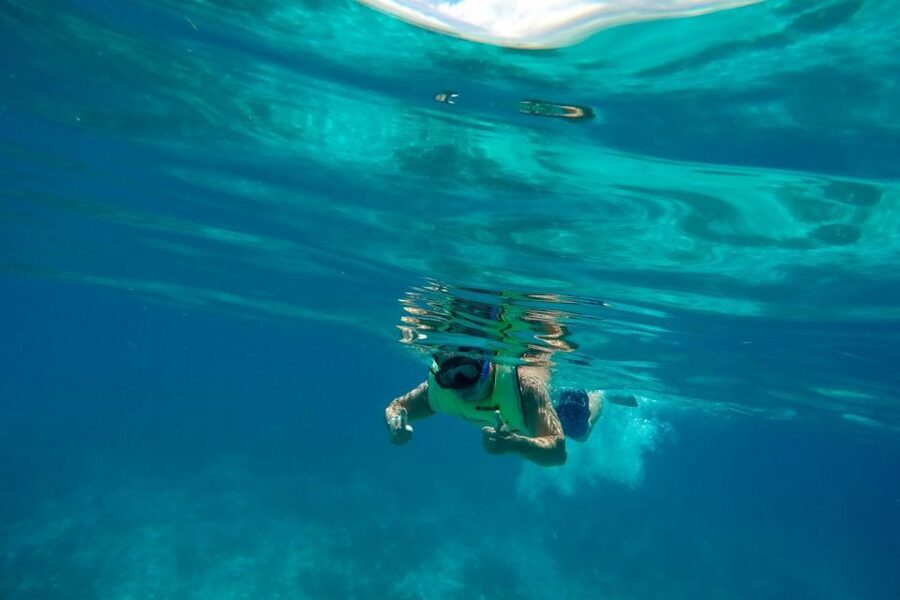 Key West: Dolphin Watching and Snorkeling Sunset Cruise - A crew that keeps the water time comfortable