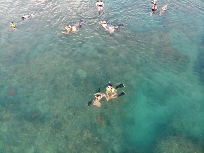 Key West: Dolphin Watching and Snorkeling Sunset Cruise - Who will enjoy this cruise most?