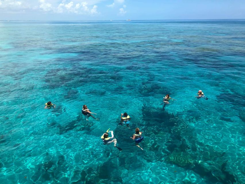 Key West: Dolphin Watching and Snorkeling Sunset Cruise - Should you book the Sunset One cruise?
