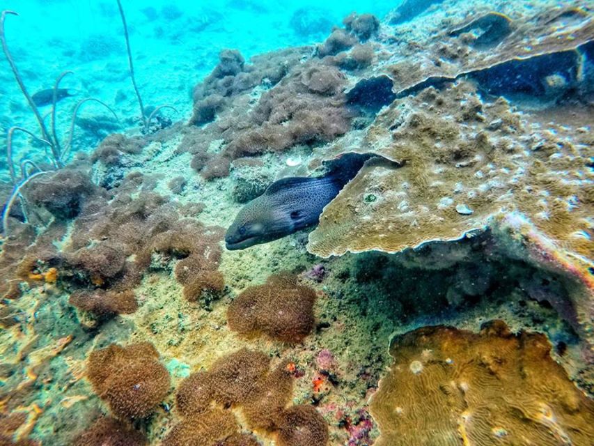 Ko Lanta: 4 Islands Snorkeling Tour by Longtail Boat - Ko Chueak, the first snorkeling stop