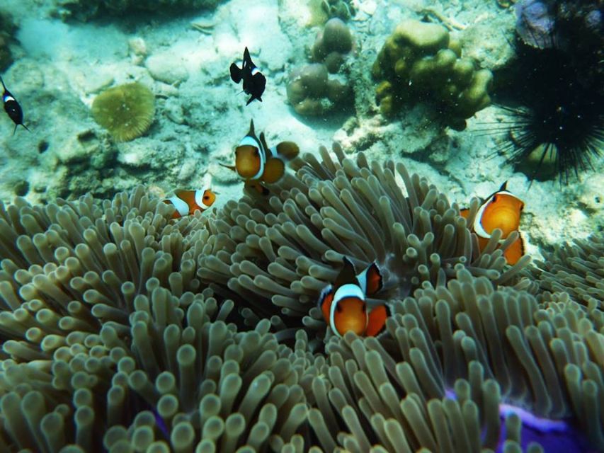 Ko Lanta: 4 Islands Snorkeling Tour by Longtail Boat - The morning start from Ko Lanta Yai