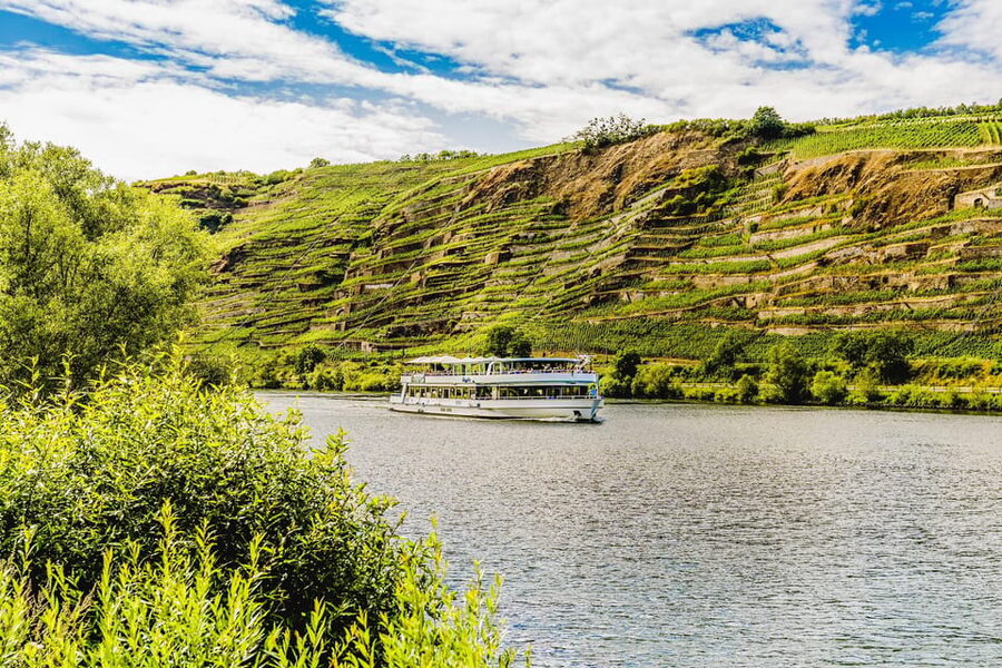 Koblenz: Panoramic Cruise on Moselle River to Winningen - Who will enjoy this cruise most?