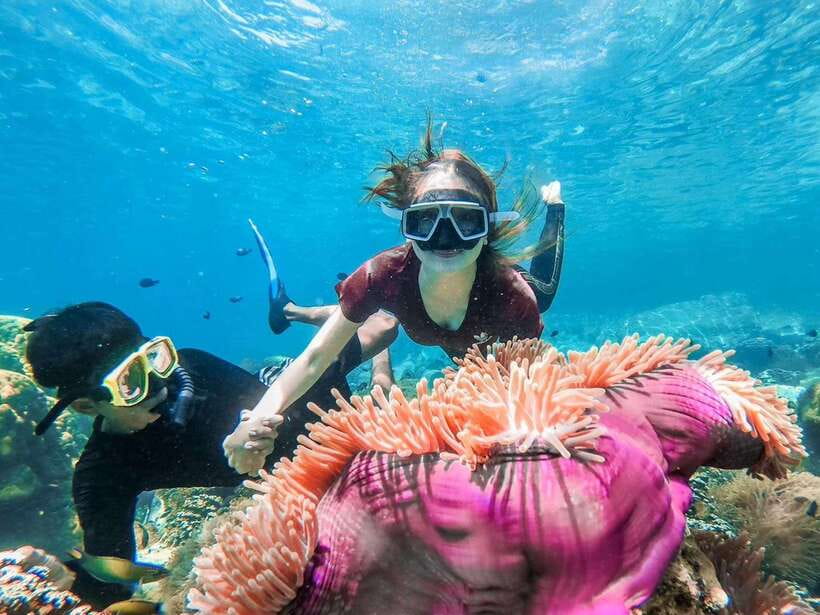 Koh Chang: 3 or 4 Islands Snorkel & Beach Tour by Big Boat - Who Should Book This Koh Chang Boat Trip?