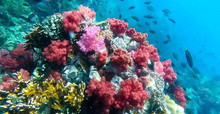 Koh Lipe: Longtail Boat Snorkeling Trip Program A - Hin Ngam Island and its polished black stones