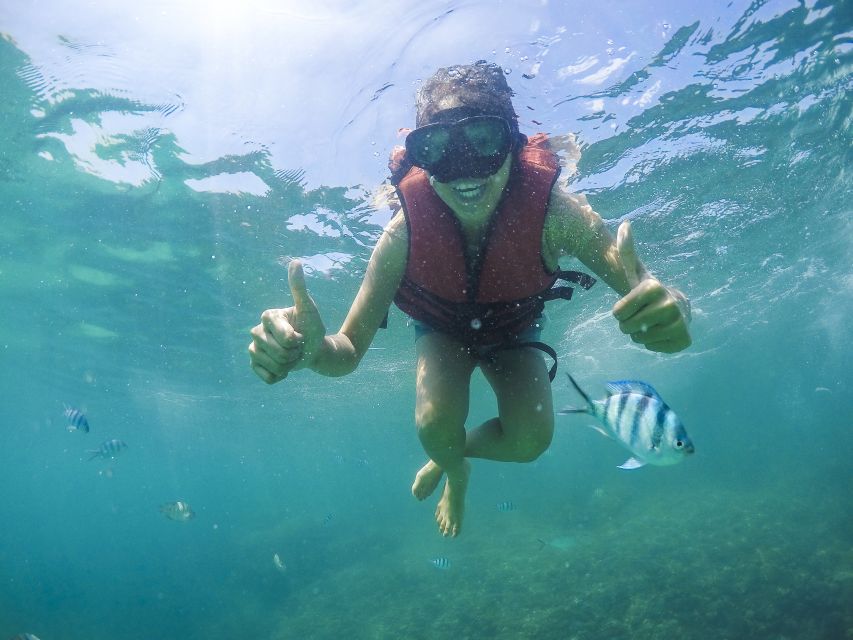 Koh Samui: Pig Island & Koh Tan Snorkeling by Speed boat - Quick facts about this Koh Samui island tour