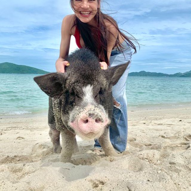 Koh Samui: Pig Island & Koh Tan Snorkeling by Speed boat - Should you book it?